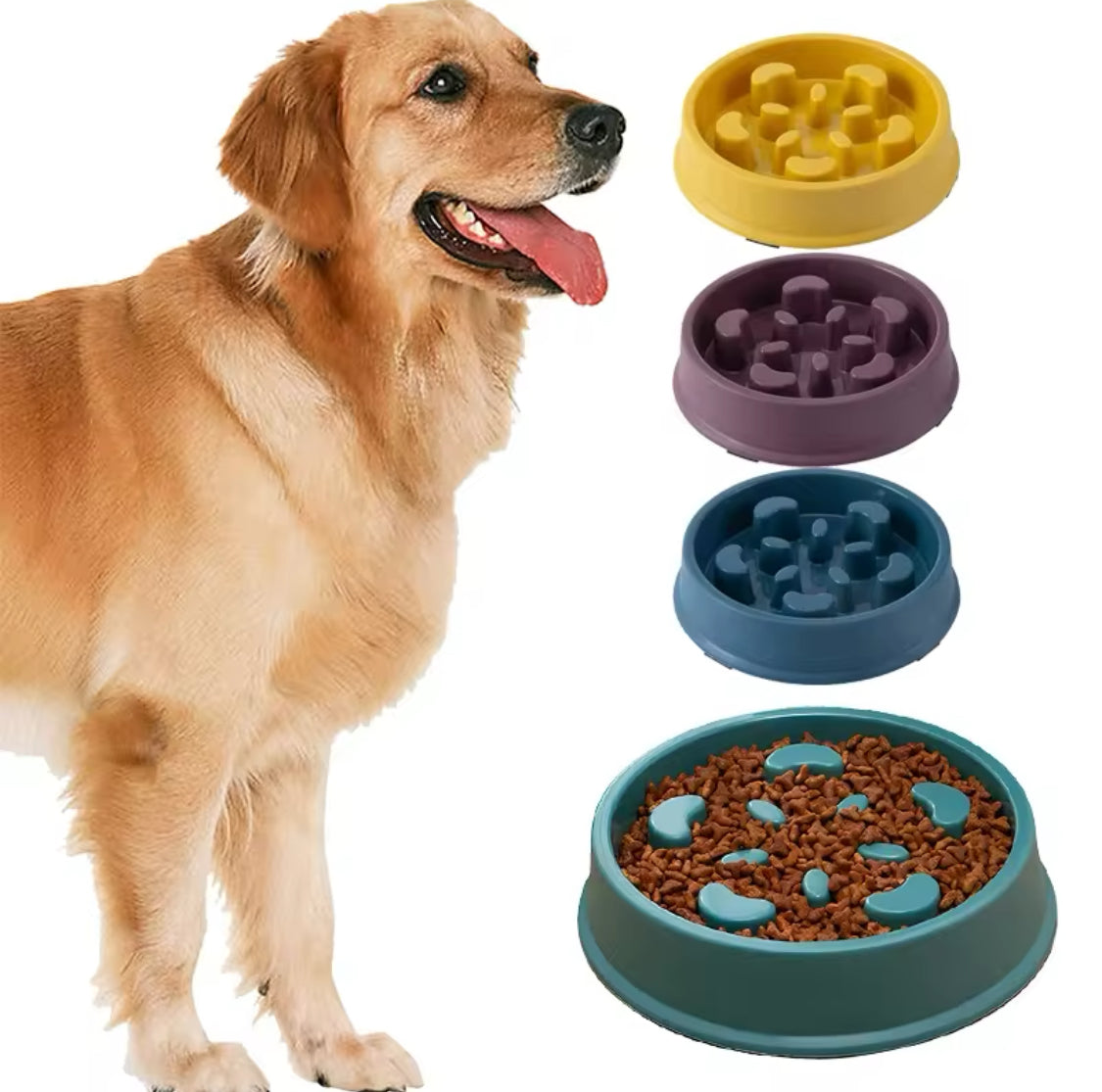 Slow Pet Feeder