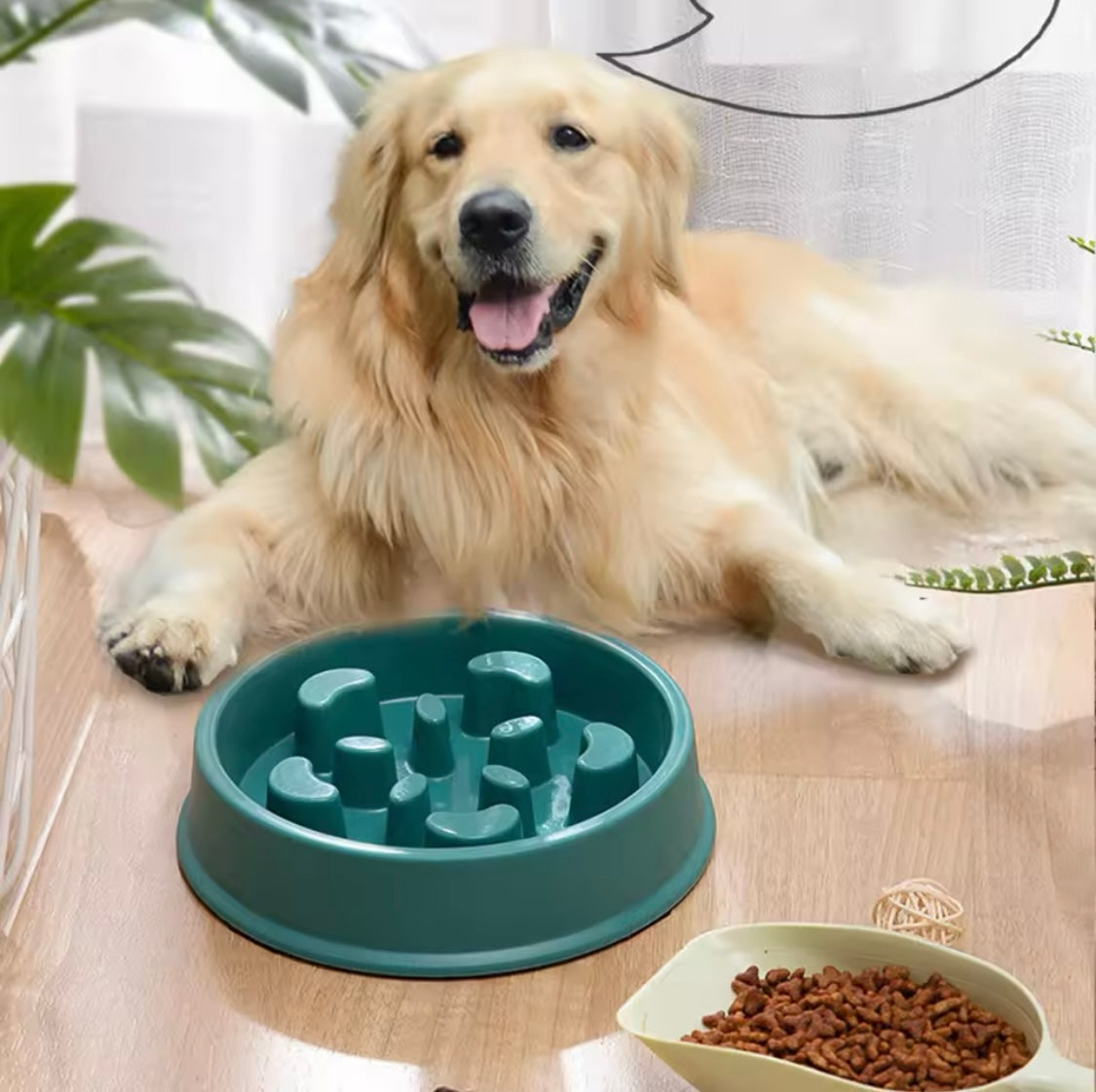 Slow Pet Feeder