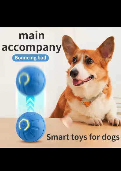 Smart Bouncing Ball for Dog TPE Material