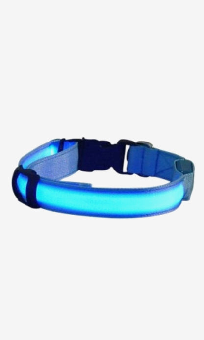 LED Light Dog Collar